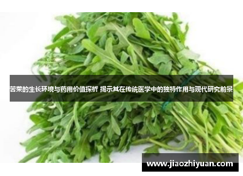 苦菜的生长环境与药用价值探析 揭示其在传统医学中的独特作用与现代研究前景